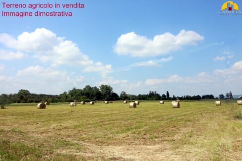 Mondovì terreno agricolo di circa 7 giornate piemontesi