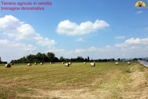 Mondovì terreno agricolo irriguo 8 giornate