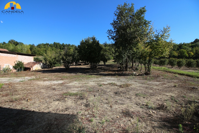 Mondovì periferia rustico con terreno