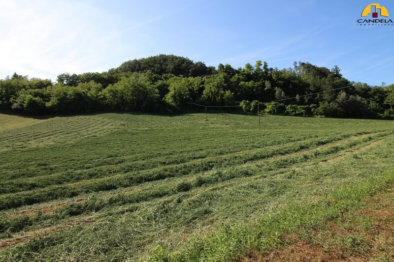 Marsaglia terreno agricolo pianeggiante