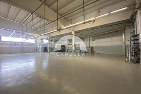 Capannone industriale Ceva