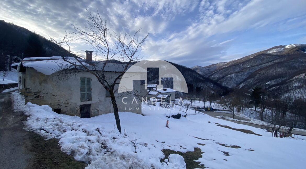 Casale Pamparato