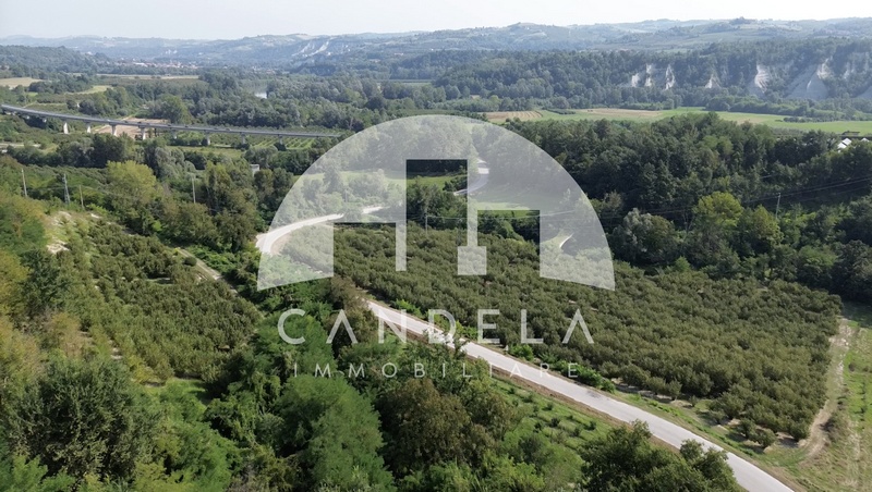 Tenuta Agricola d’Eccellenza nelle Langhe: 25 Ettari di Noccioli e Casolari