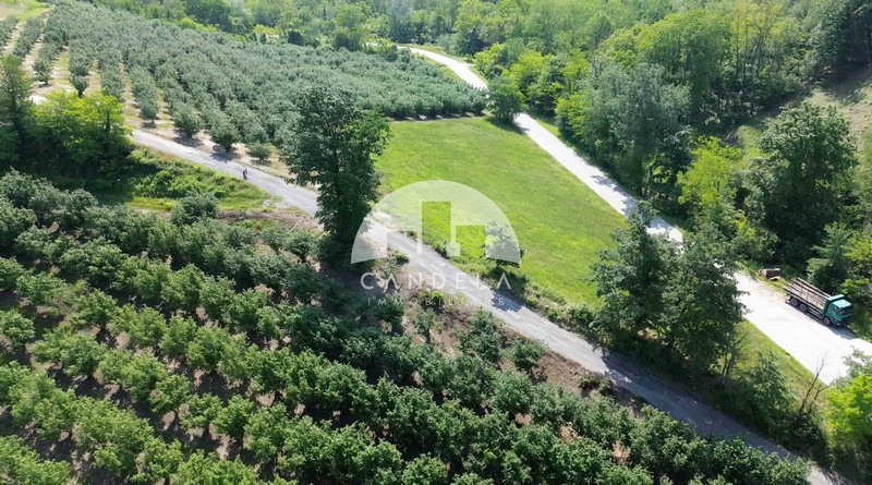 Tenuta Agricola d’Eccellenza nelle Langhe: 25 Ettari di Noccioli e Casolari