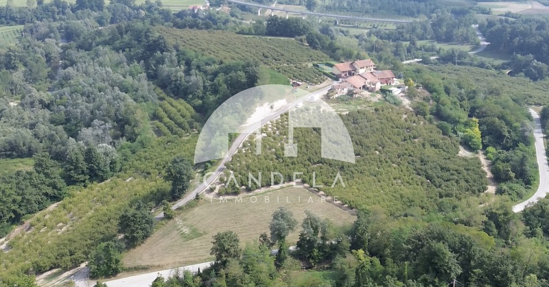 Tenuta Agricola d’Eccellenza nelle Langhe: 25 Ettari di Noccioli e Casolari