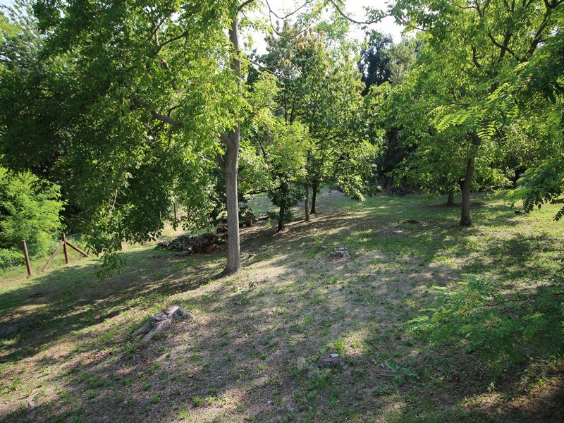 Incantevole Proprietà in Alta Langa – Castellino Tanaro (CN)