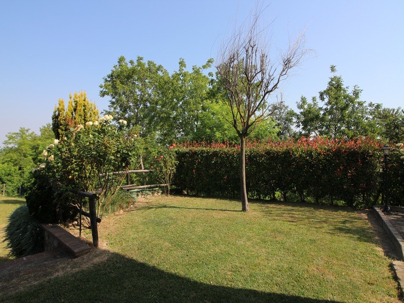 Incantevole Proprietà in Alta Langa – Castellino Tanaro (CN)