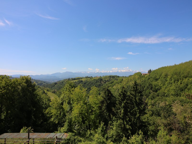 Il tuo rifugio nelle Langhe: Casa semindipendente con 3,6 ettari