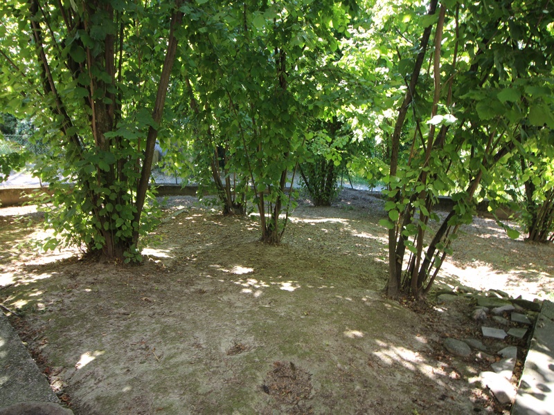 Casa indipendente da ristrutturare con 3,2 ettari di terreno