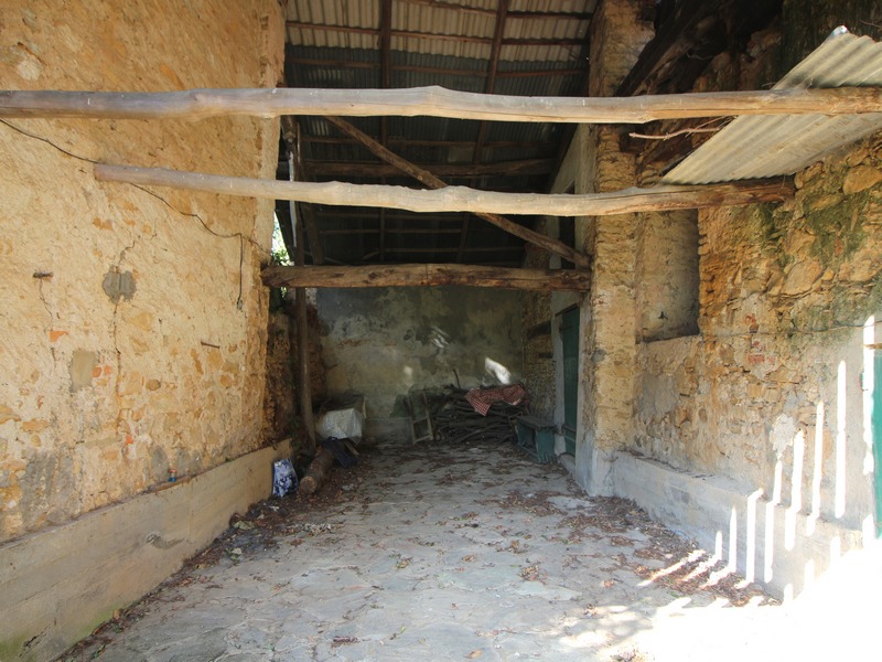 Frabosa soprana casa indipendente immerse nel verde con 4.500 mq di bosco