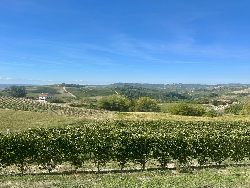 Terreno edificabile panoramico